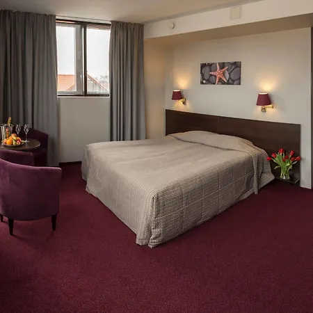 酒店 老磨坊酒店